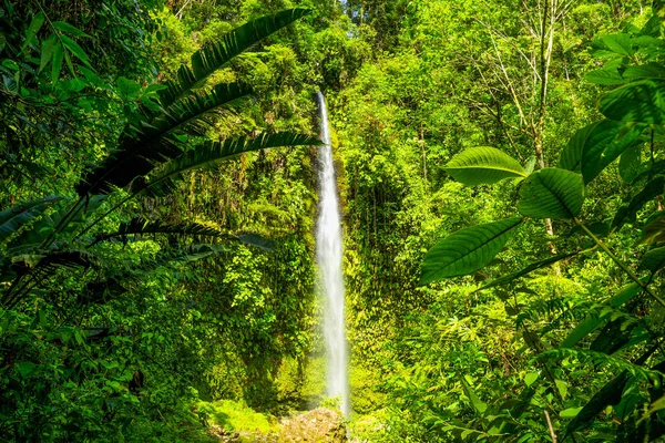 Hola Vida Waterfall Surrounded Dense Vegetation Deep Ecuadorian Jungle — Stock Photo, Image