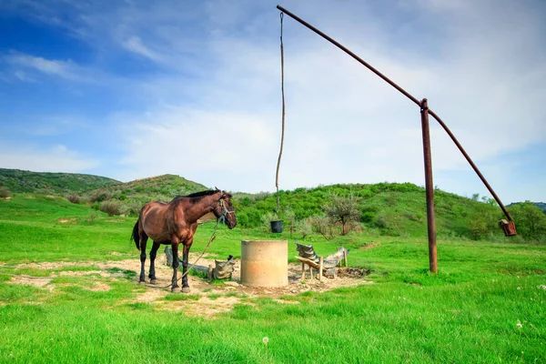 Tipo Velho Extração Água Ainda Usado Poucos Territórios Romênia Cavalo — Fotografia de Stock