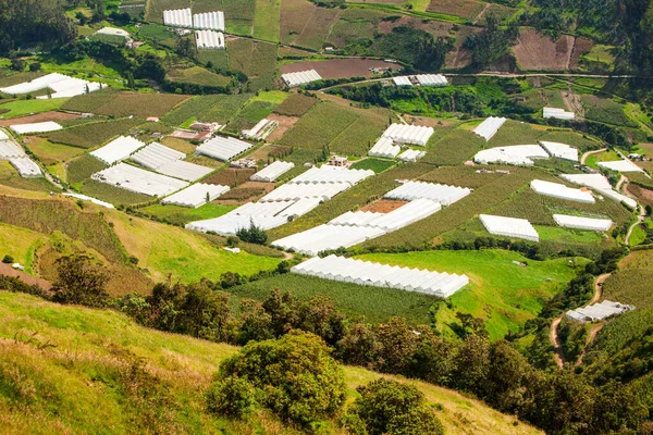 Invernaderos Altos Del Ecuador Aprox 3000M Altitud —  Fotos de Stock