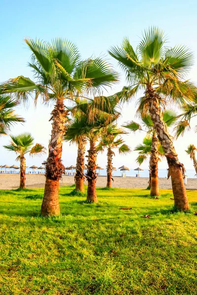 Exotic Beach Torre Del Mar Andalusia Spain Also Called Costa — Stock Photo, Image