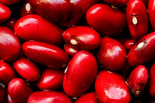 小豆は東アジア全域で広く栽培されている毎年恒例のブドウです小さな小豆のためのヒマラヤ — ストック写真