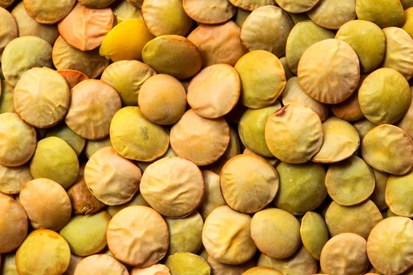 Lentille Culinaris Est Une Plante Annuelle Touffue Famille Des Légumineuses — Photo