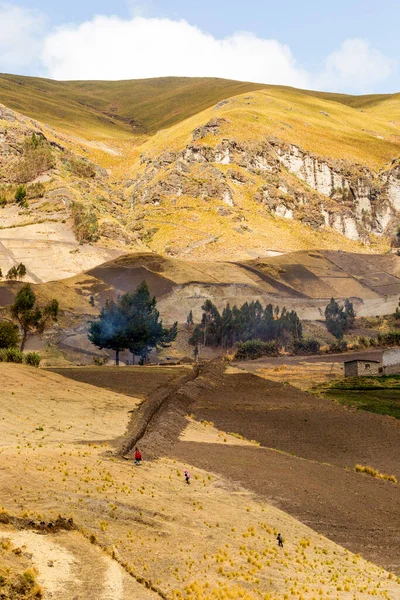 Bauernhof Ecuadorianischer Anden Cotopaxi Provinz Mit Drei Bauern Hintergrund — Stockfoto