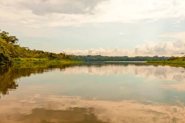 Lagoa Limoncocha Situada Rio Napo Equador Melhor Lugar Para Observação — Fotografia de Stock