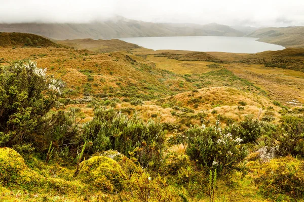 Pisayambo Lagoon Llanganates National Park Andean Mountains Ecuador — Stock Photo, Image