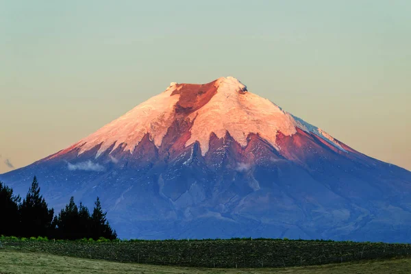 エクアドルのサンセットライトにあるコソパキシ火山 — ストック写真