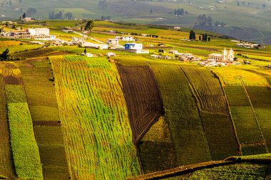 Ekvator And Dağları 'nda yüksek irtifa çiftçiliği yaklaşık 4000 metre yükseklikte chimborazo ilçesi
