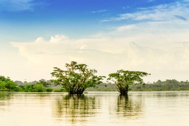 Bulutlu gökyüzü makrobiyumuna karşı laguna grande cuyabeno güçlü polarizatör filtresi