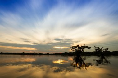 Laguna grande cuyabeno milli parkın geniş açılı görüntüsü sucumbios ekvator zoom bulanıklığı