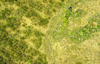 Ekvador Hava Görüntülerindeki Cotopaxi Ulusal Parkı 'nda Yeniden Ormanlanmış Yüksek İrtifa Uçağı