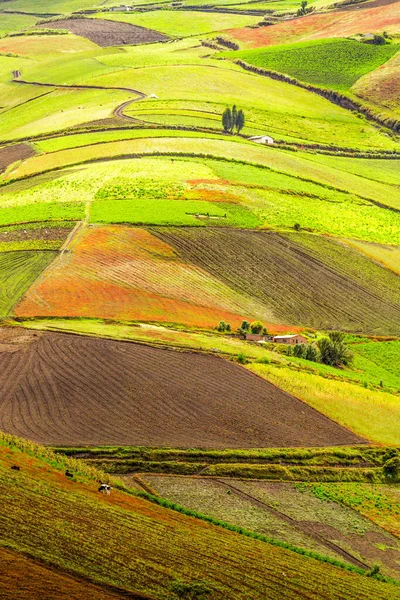 厄瓜多尔安第斯地区海拔约4 000米的高地耕作 — 图库照片