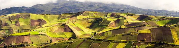 Agricultura Alta Altitud Andino Ecuatoriano Alrededor 4000M Altitud Chimborazo —  Fotos de Stock