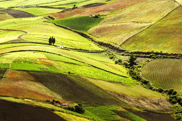 エクアドルの高地農業は標高約4000Mです — ストック写真