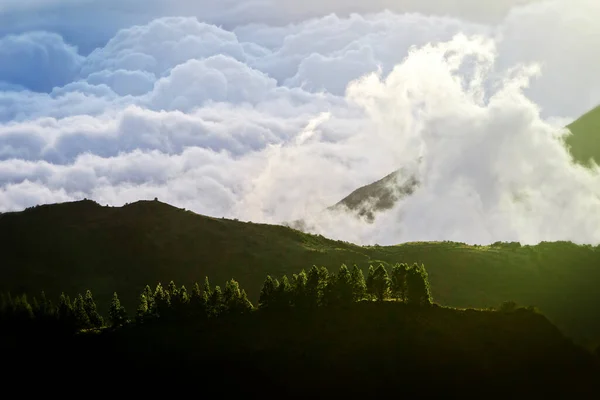 Hochgebirgslandschaft Ecuador Mit Kiefernwald Gegen Wolken — Stockfoto