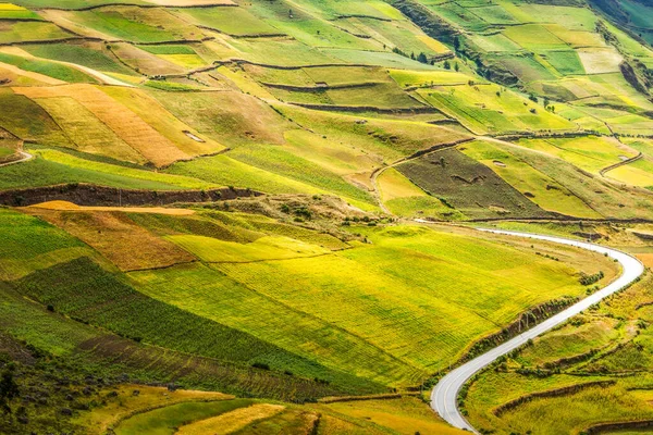 High Altitud Road Ecuador Intersection Agricultural Landscape — Stock Photo, Image