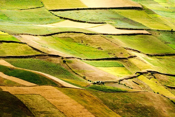 Paysage Agricole Dans Les Andes Équatoriennes — Photo