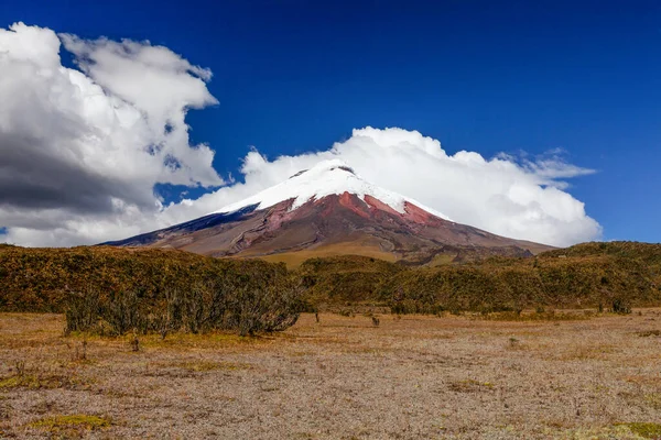 Cotopaxi Ist Ein Vulkan Den Anden Der Nähe Von Quito — Stockfoto