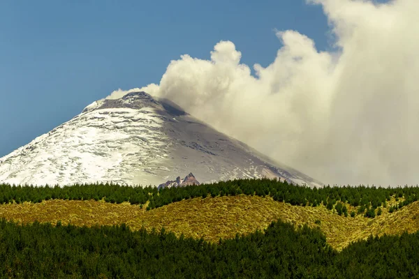 Cotopaxi Vulkán 2015 Kitörés Zöld Fenyőerdő Előtérben — Stock Fotó