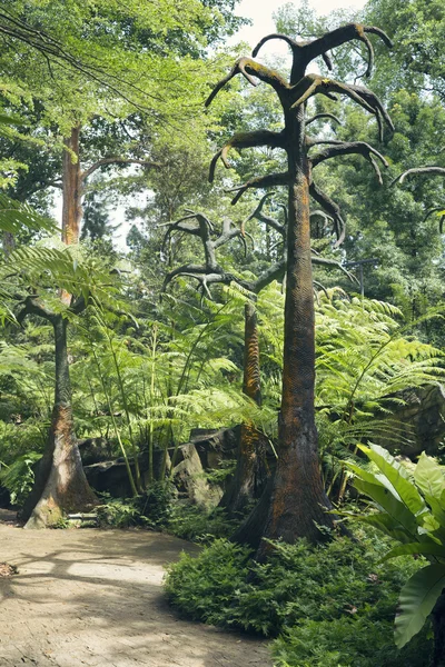 Prehistorische bomen landschap — Stockfoto