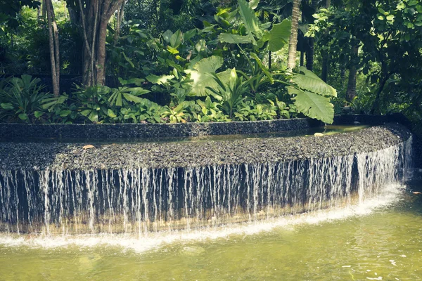 Cascata de águas tropicais — Fotografia de Stock