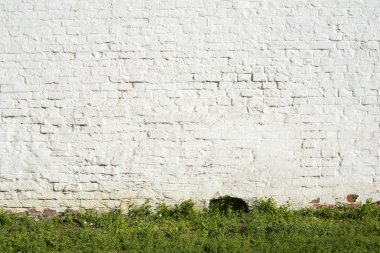 Beyaz tuğla duvar çimen