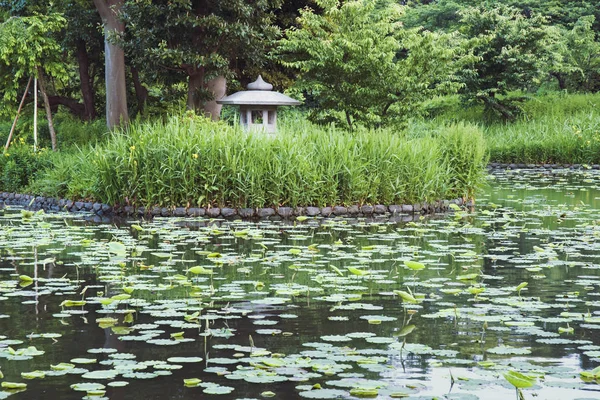 Japanischer Teich bis zum Sommer — Stockfoto