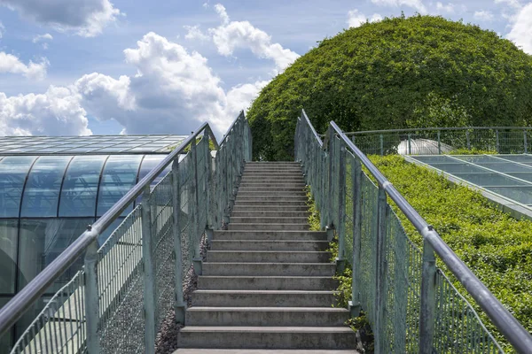 緑の屋上庭園 — ストック写真