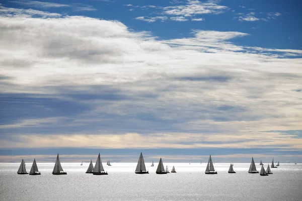 Many yachts sailing — Stock Photo, Image