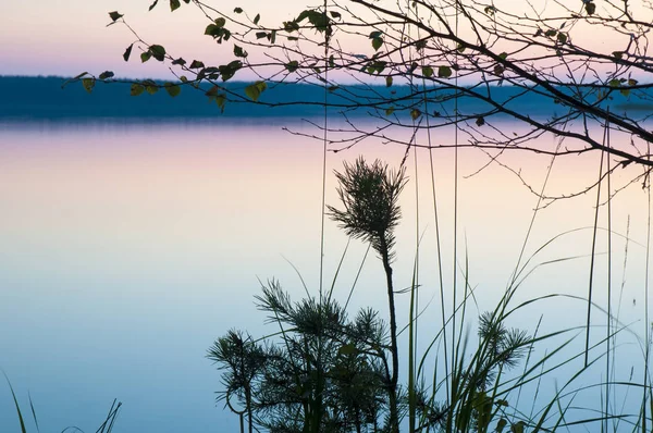 Skymningen över skogs sjö — Stockfoto