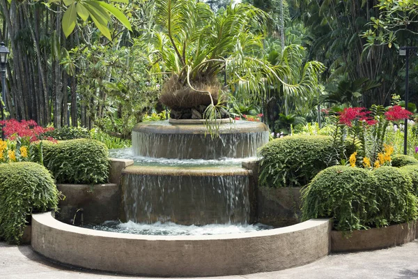 Fontanna tropikalnej flory — Zdjęcie stockowe