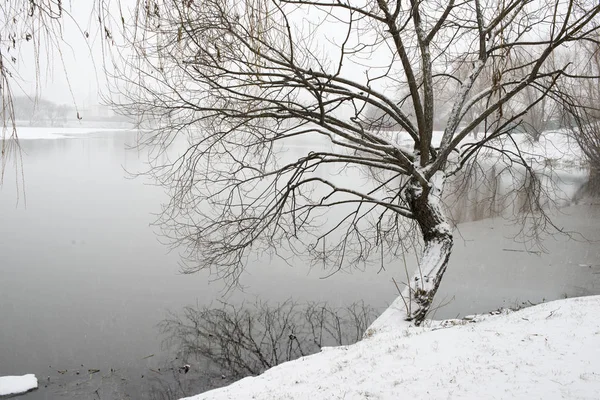 Paysage côtier hivernal — Photo