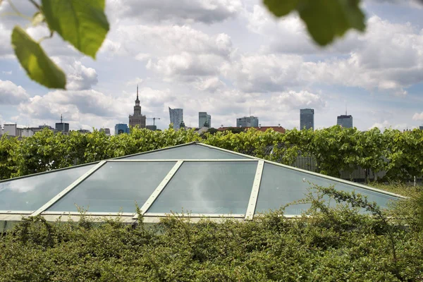 Grüne Skyline von Warschau — Stockfoto