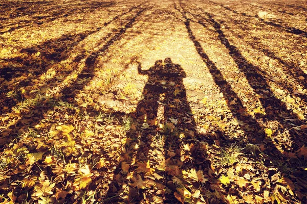 Jesienny krajobraz cieni — Zdjęcie stockowe