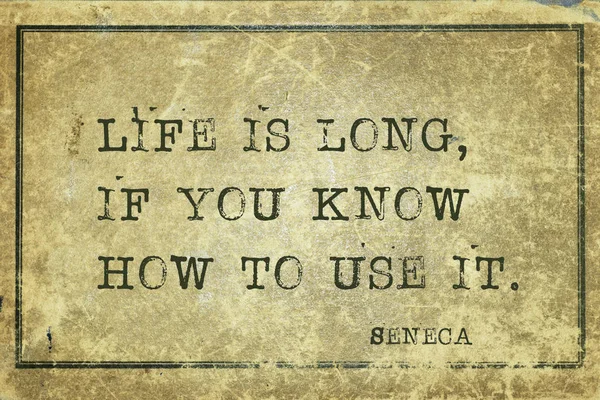 Toda la vida Seneca — Foto de Stock