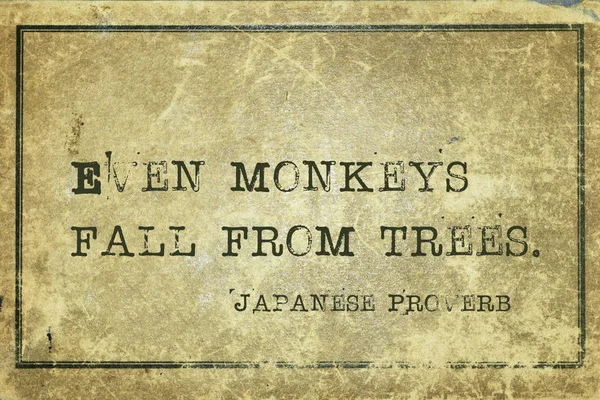 Macacos caem JP — Fotografia de Stock