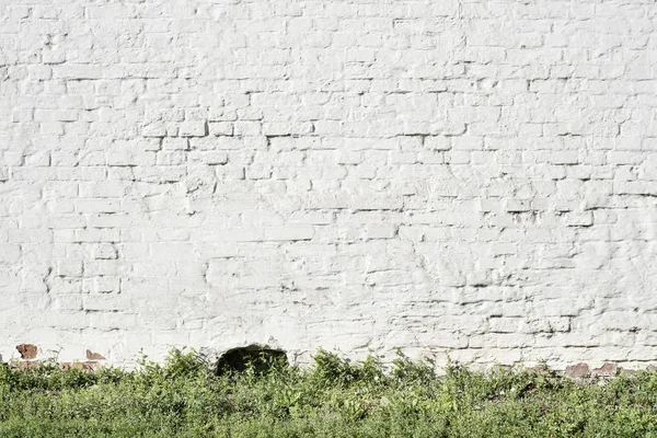 Muro di mattoni bianchi — Foto Stock