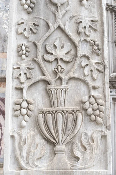 Tallado en piedra de uva — Foto de Stock