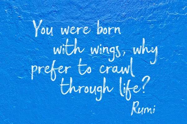 Por que rastejar azul Rumi — Fotografia de Stock