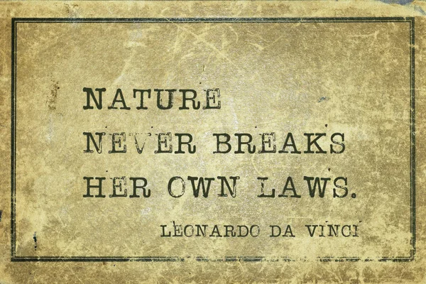 Own laws DaVinci — Stock Photo, Image