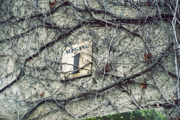 Urban decay wall — Stock Photo, Image