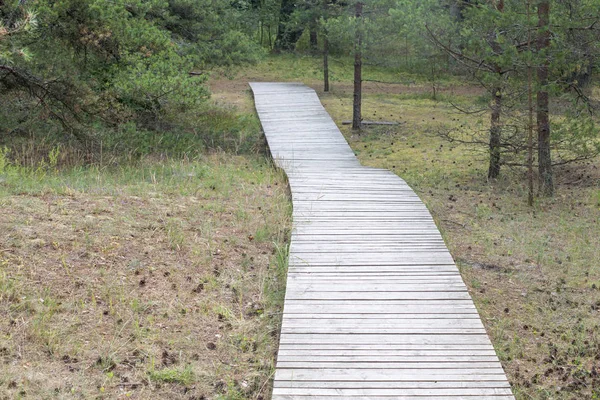 Empty wooden path — Stock Photo, Image
