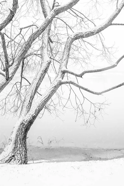 Minimalism winter landscape — Stock Photo, Image