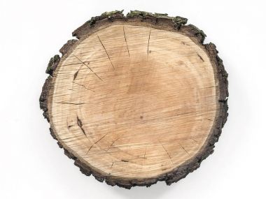 Armut Ağacı gravür