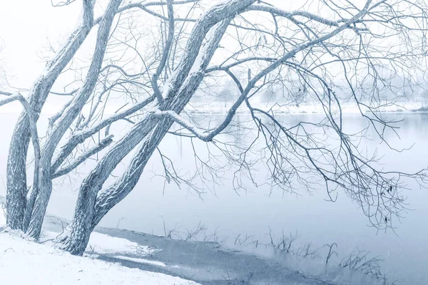 Minimalistyczne zimowy krajobraz — Zdjęcie stockowe