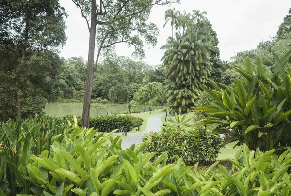 Botanické zahrady v Singapuru — Stock fotografie