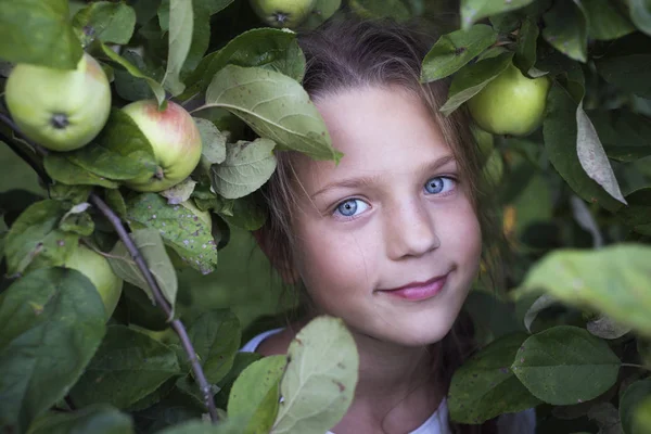 Παιδί κορίτσι μήλα — Φωτογραφία Αρχείου