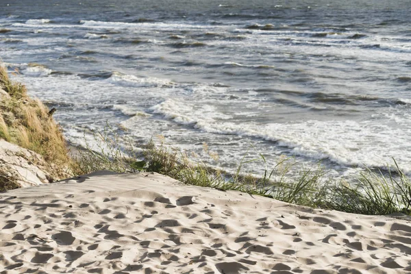 Sabbia erba riva — Foto Stock