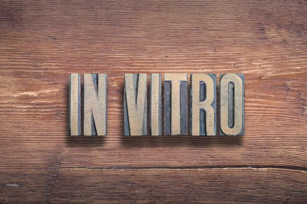 In vitro-trä — Stockfoto