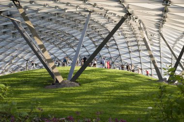 Zaryadye park alanı