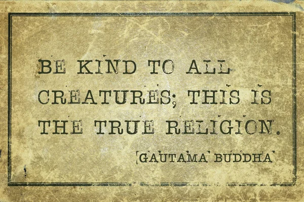 Sea Amable Con Todas Las Criaturas Esta Verdadera Religión Famosa —  Fotos de Stock